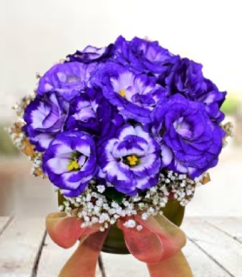 10 Purple Lisianthus Arrangement with Round Glass Vase